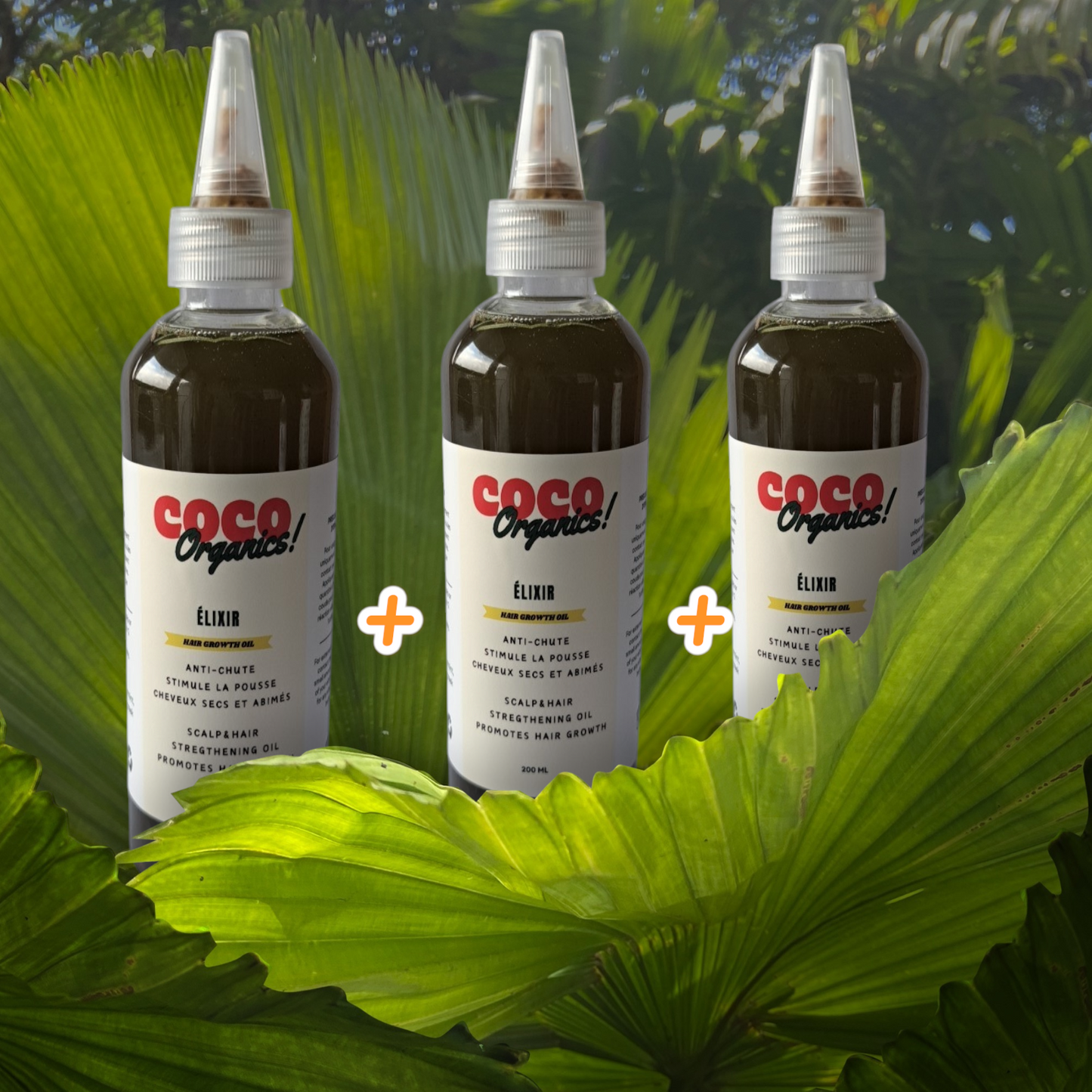 Cure Intense 3 mois - 3 bouteilles